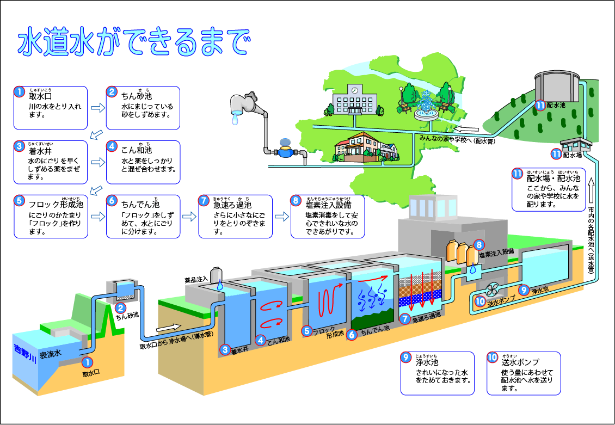 浄水過程