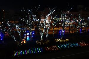 徳島市立体育館の木々に装飾したLEDイルミネーションの別角度の写真