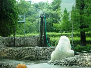 スプリンクラーの横に座るポロロの写真