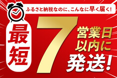 スピード配送できる返礼品